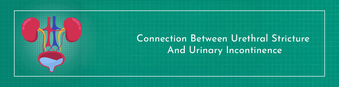 Connection Between Urethral Stricture And Urinary Incontinence