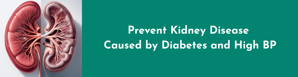 Prevent Kidney Disease Caused by Diabetes and High BP