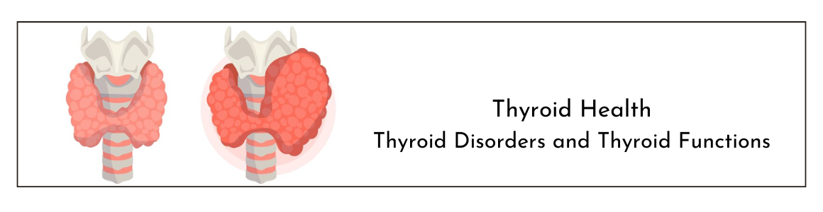 Thyroid Health: Thyroid Disorders and Thyroid Functions