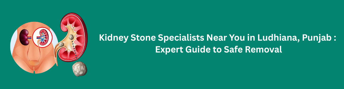 Kidney Stone Specialist Doctor in Ludhiana, Punjab | Safe Removal Guide