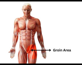 Groin Area Pain: Causes, Risks & When To See A Doctor