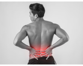 Muscle or Disc? How to Determine the Source of Your Back Pain