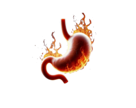 Burning Up Inside? Understanding GERD and How to Tame the Fire