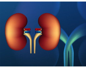 How To Find The Best Hospital For Your Kidney Stone Treatment?