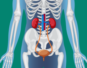 Ureteric Stricture And Other Urologic Conditions