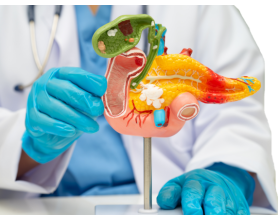 Gallstone Specialists Near You in South Delhi | Minimally Invasive Treatment