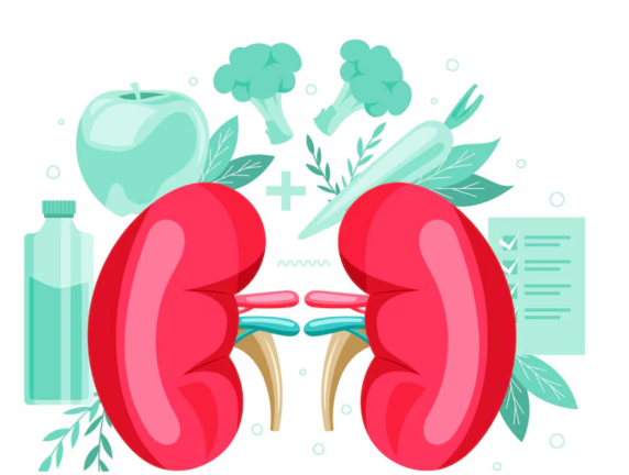What Are The Signs Of Healthy Kidneys?