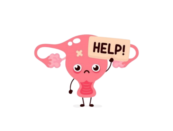 Top 10 FAQs Women Ask After a Uterus Removal / Hysterectomy