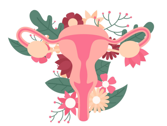 Types of Uterine Cancer: Exploring Endometrial and Uterine Sarcoma