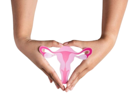 How to Choose the Right Hospital for Fibroid Treatment in Delhi